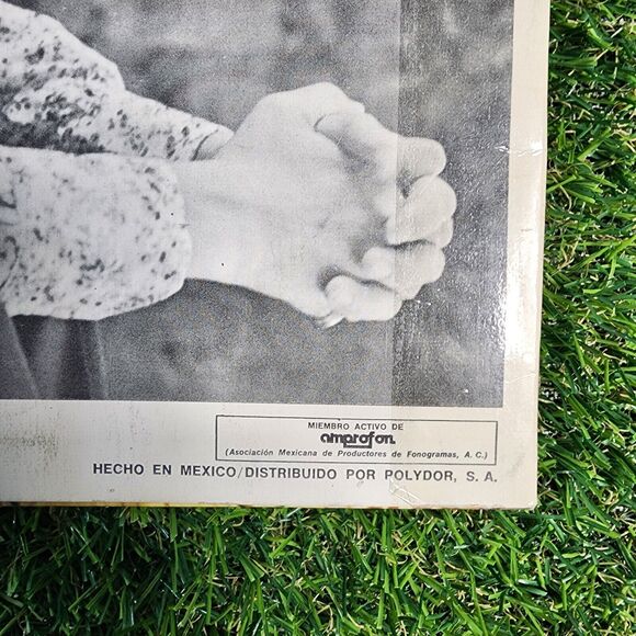 victor yturbe piruli Vinyl Condicion Romatic Mexican Latin Pop Music 1970s - Picture 12 of 14